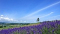 被尿在阴道里视频日本一地6日游  境外旅游 6880元/人